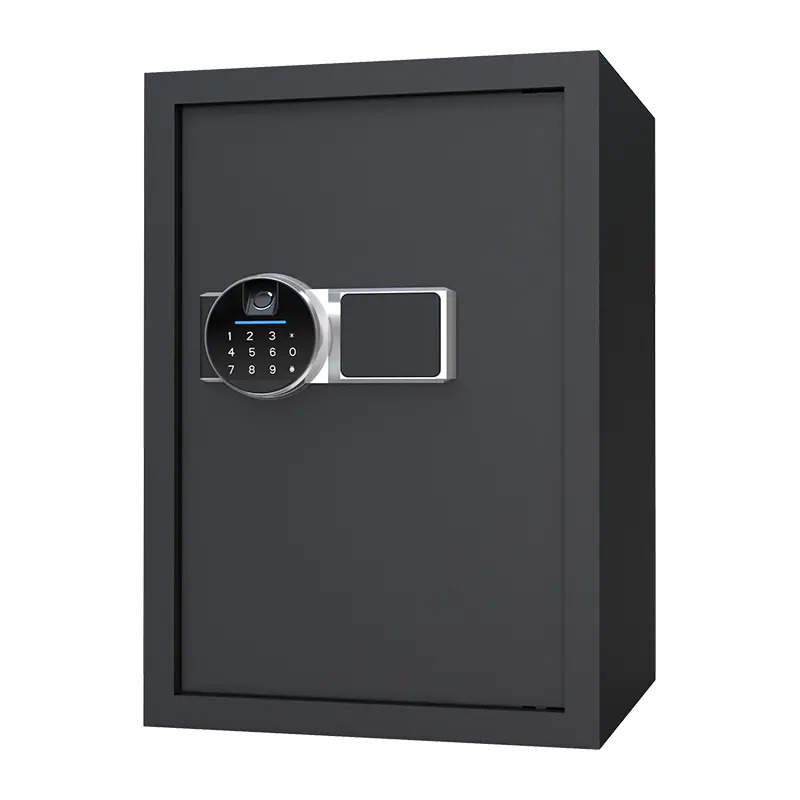 BS0150 48L biometrijski kućni sef